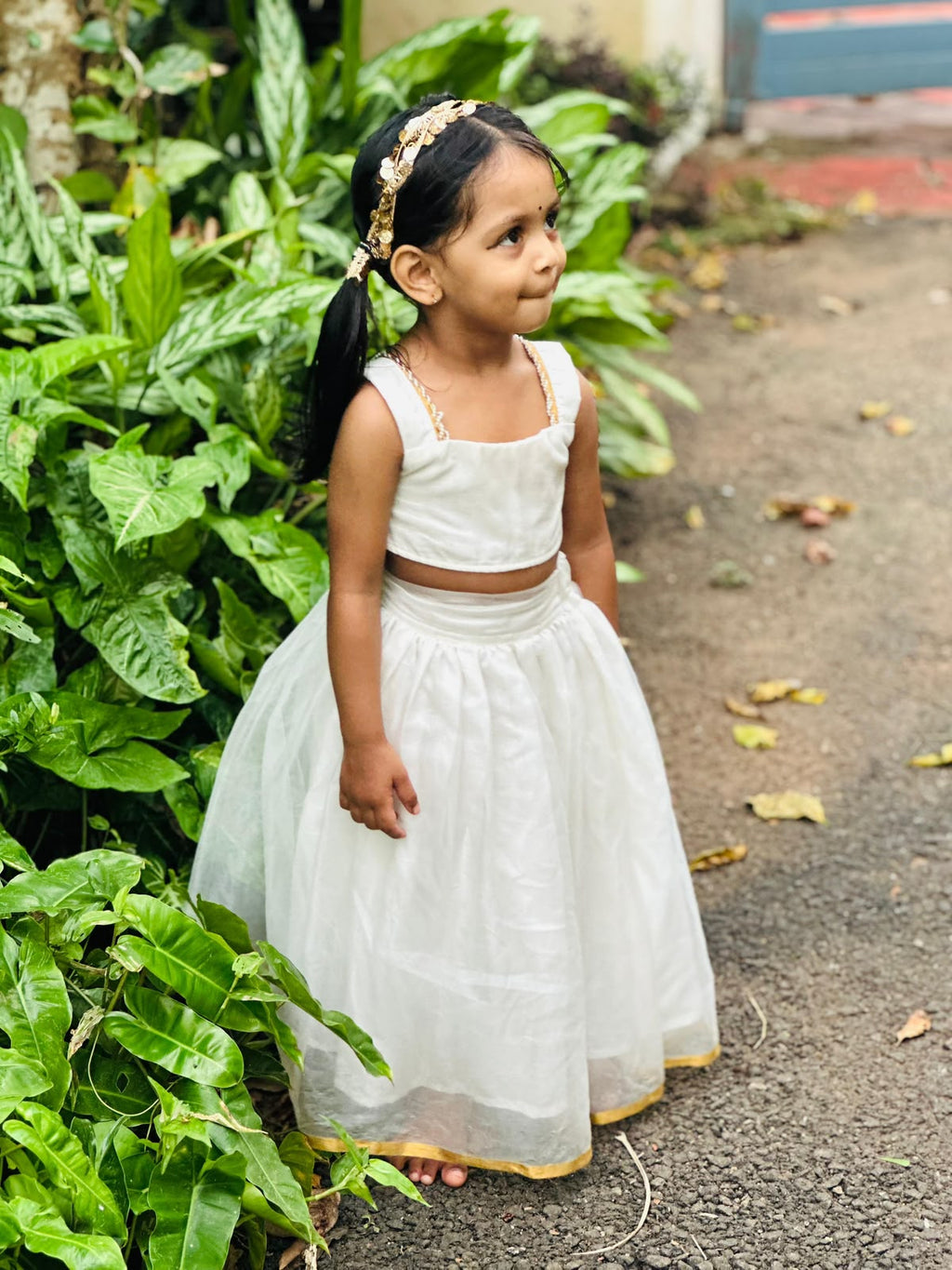 Organza skirt and top