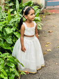 Organza skirt and top